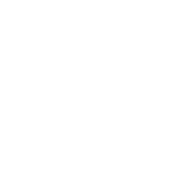 msgarment.com